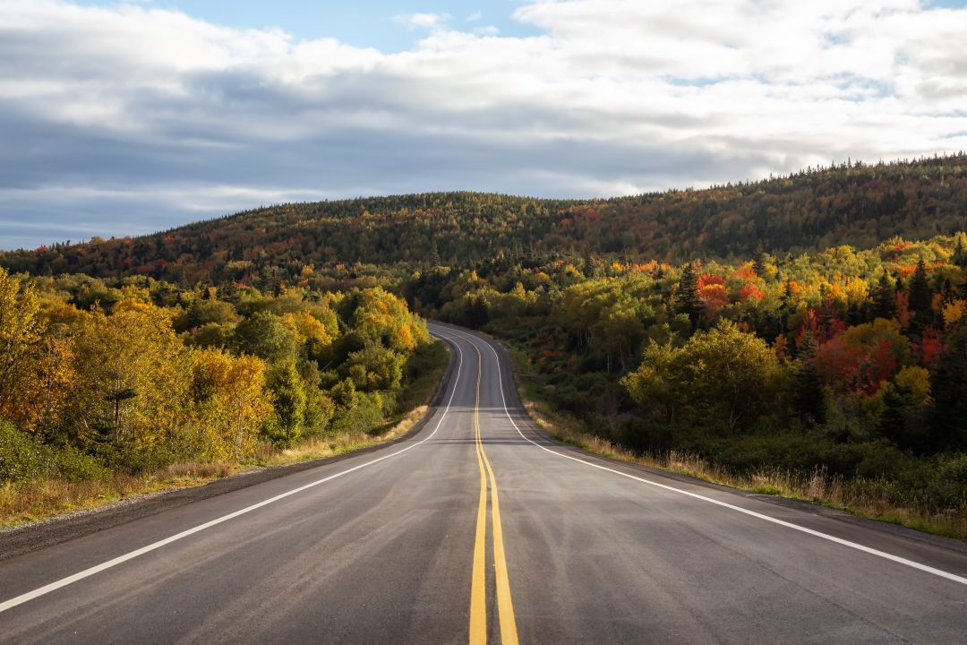 scenic-highway-during-a-vibrant-sunny-day-in-the-f-2025-03-15-04-27-34-utc